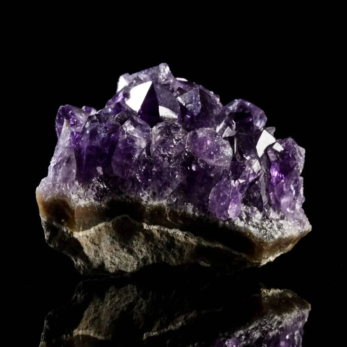 GC·Bracelet Amethyst Bracelet（6mm）